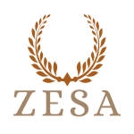 Zesa-Icon